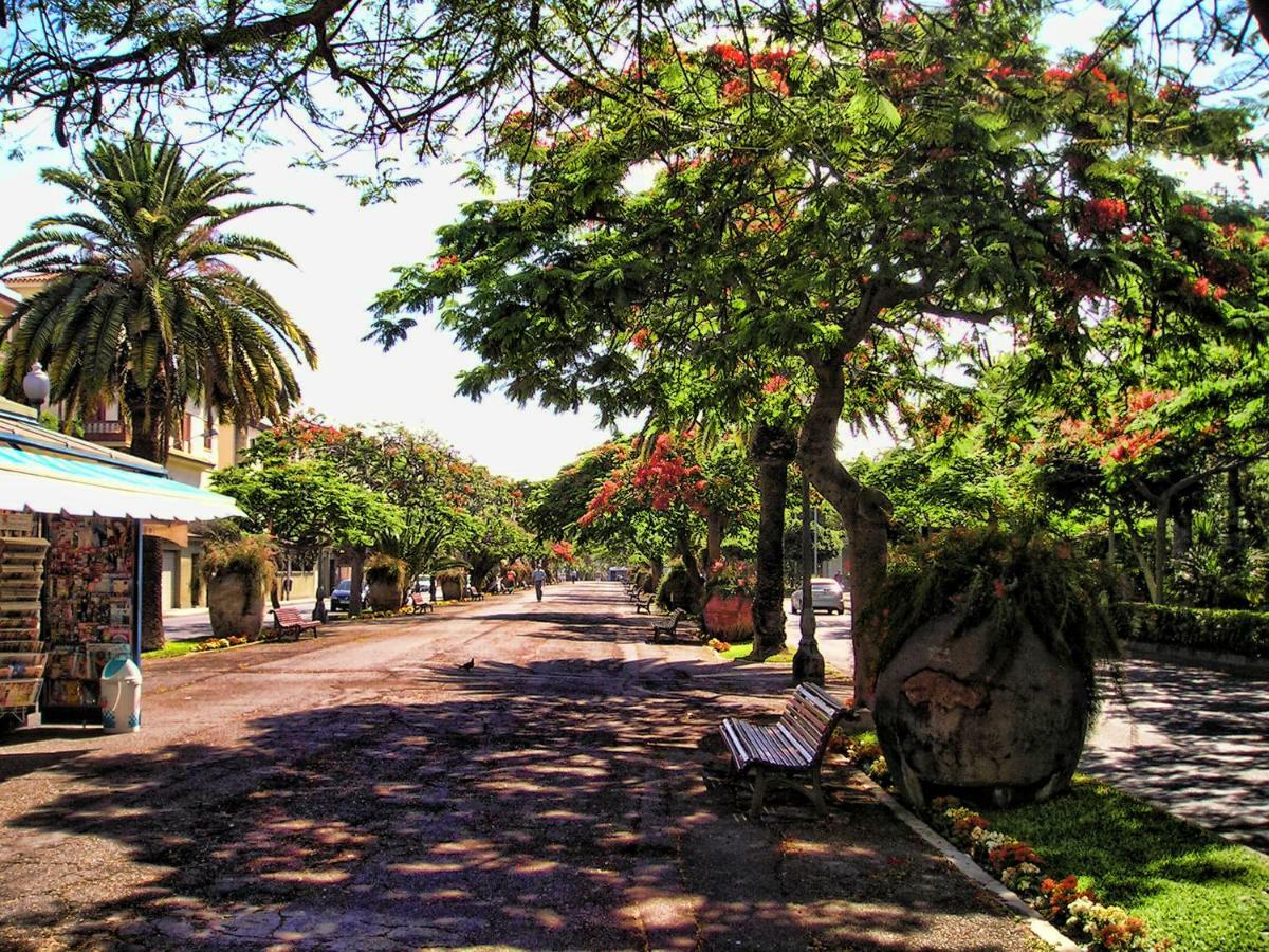 Flores & Campos Guest House Santa Cruz de Tenerife Exteriér fotografie